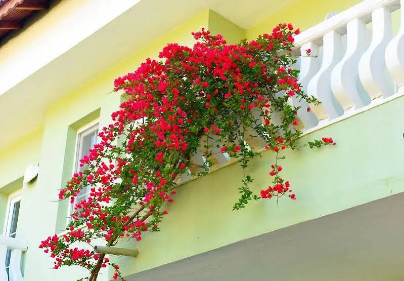 Oeluedeniz Turquoise Hotel